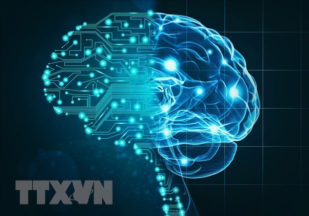Xu hướng đầu tư và phát triển AI lan rộng trên thế giới. (Ảnh: TTXVN) Media